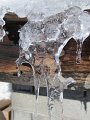IMG_0365