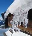 IMG_0366