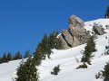 IMG_0383
