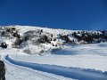 IMG_0406