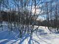 IMG_0409
