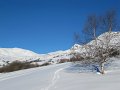 IMG_0410