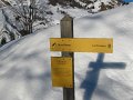 IMG_0411
