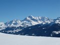 STG_0395
