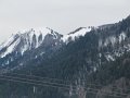 IMG_0420