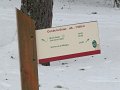 IMG_0430