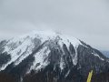 IMG_0453