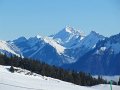IMG_0473