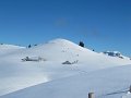 IMG_0504