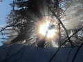 IMG_0526