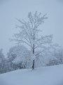 IMG_0537