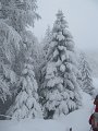 IMG_0549