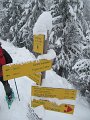 IMG_0571