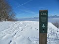 IMG_0591