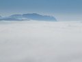 IMG_0597