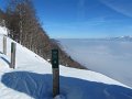 IMG_0603