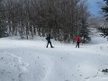 IMG_0608
