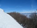 IMG_0614