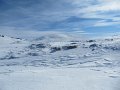 IMG_0629