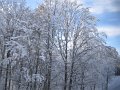 IMG_0648