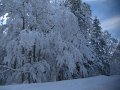 IMG_0652