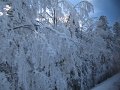 IMG_0654
