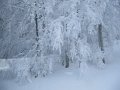 IMG_0657
