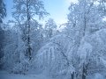 IMG_0666