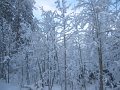 IMG_0668