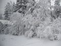IMG_0675