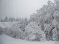IMG_0676