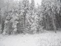 IMG_0691