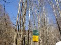 DSC05516