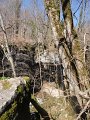 DSC05517