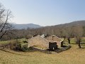 DSC05519