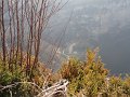 DSC05525