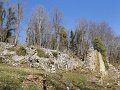 DSC05534