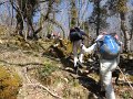 DSC05536