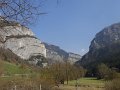 DSC05537