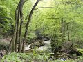 DSC05731