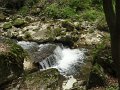 DSC05732