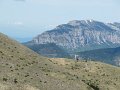 IMG_1429