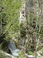 IMG_1446