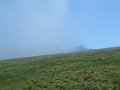 IMG_1469