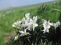 IMG_1470