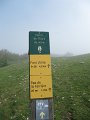 IMG_1471