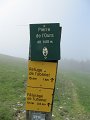 IMG_1472