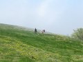 IMG_1477
