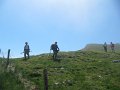 IMG_1480