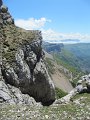 IMG_1484